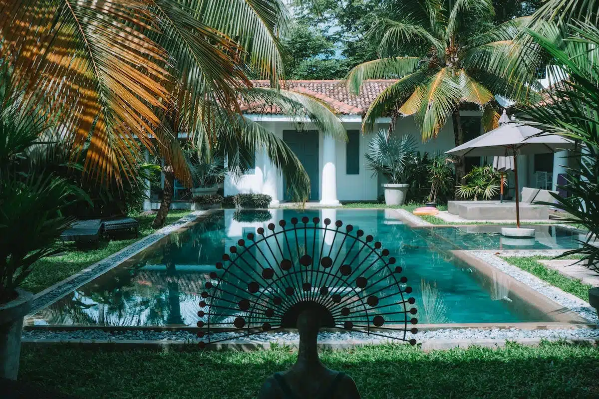 piscine  jardin