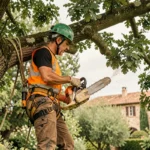 Élagueur professionnel équipé d'un harnais travaillant en hauteur dans un chêne à Albi